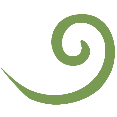 Koru decoration